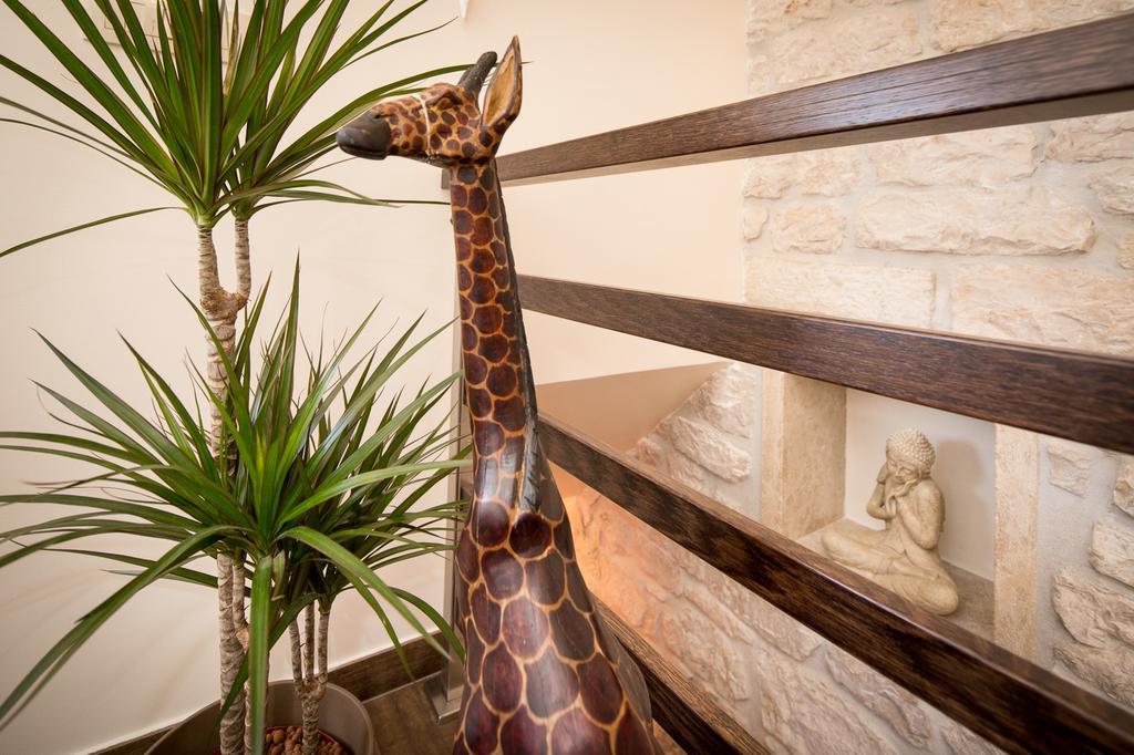 Apartment Shambala Sea View Rovinj Zewnętrze zdjęcie